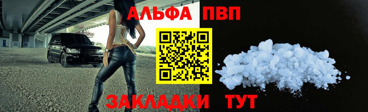 A PVP СК КРИС Сургут