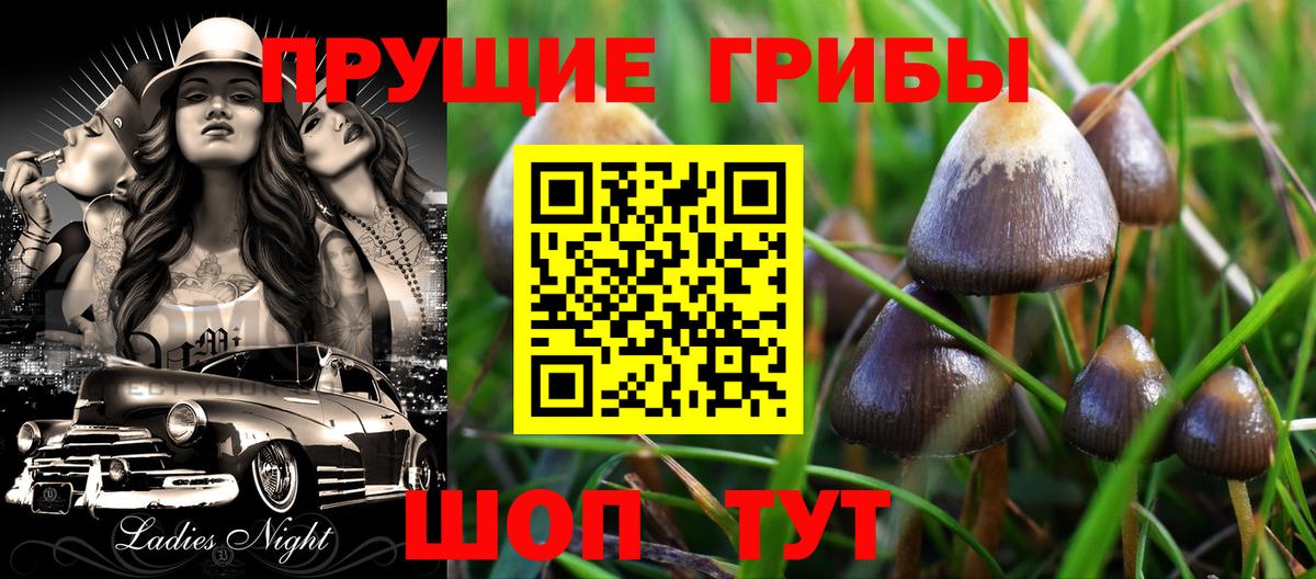 Псилоцибиновые грибы мухоморы  Вход с VPN  Галлюциногенные грибы Cubensis  Сургут 