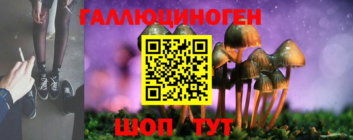 Псилоцибиновые грибы мицелий Сургут
